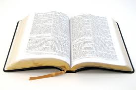 Adjunto Biblia 2.jpg